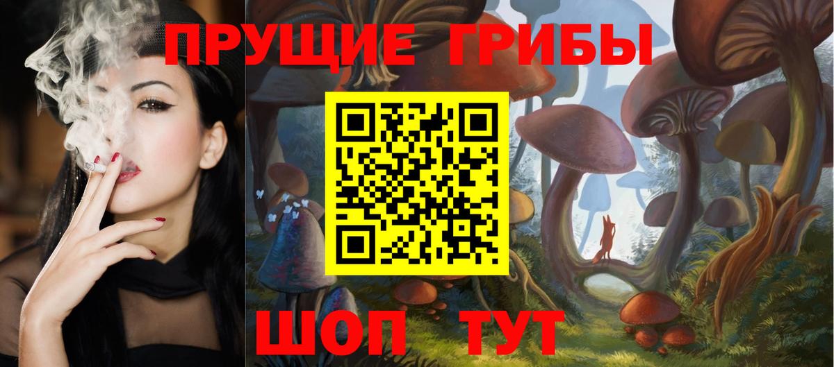 Галлюциногенные грибы Psilocybe Новоуральск