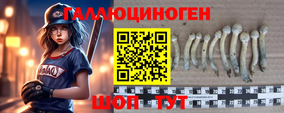 Новоуральск  Псилоцибиновые грибы мухоморы  Вход с VPN 