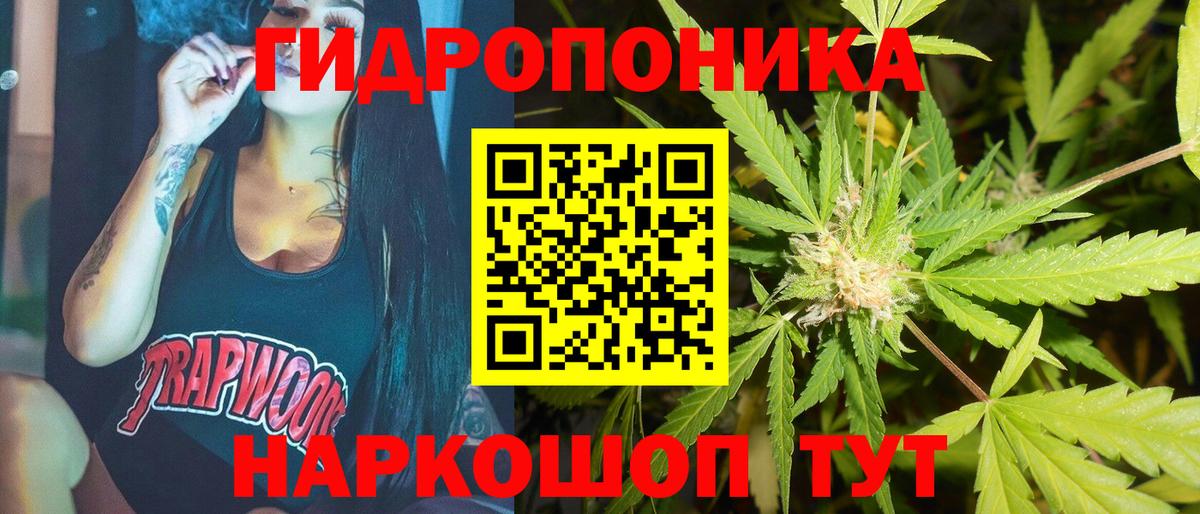 Канабис конопля Новоуральск